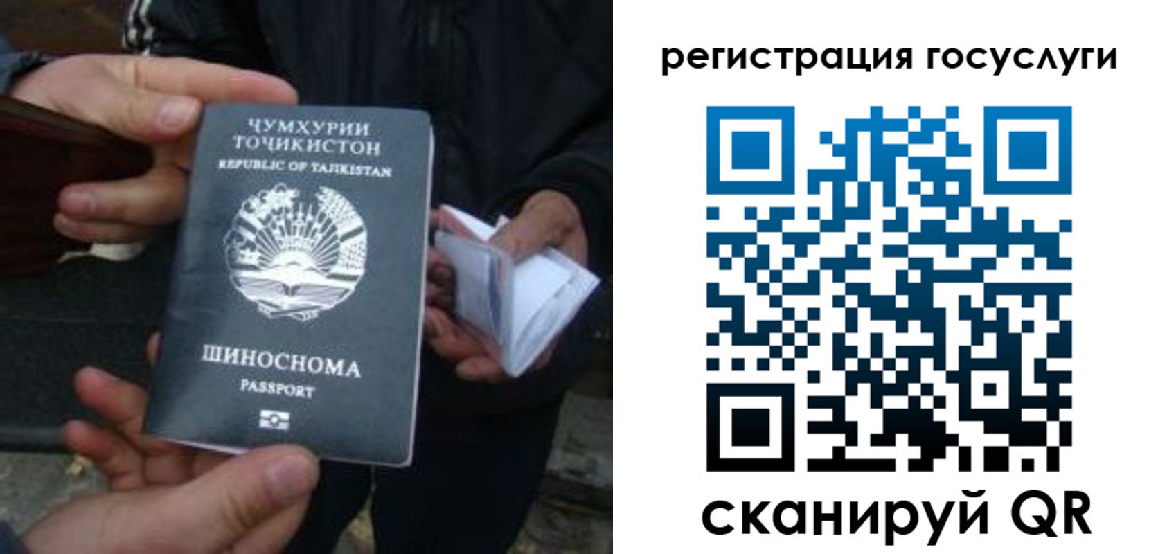 прописка регистрация в Алейске